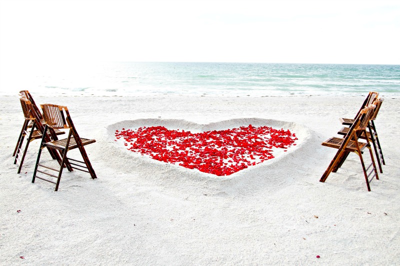 Barefoot Blooms Beach Wedding Wedding Bells Seashells Wedding