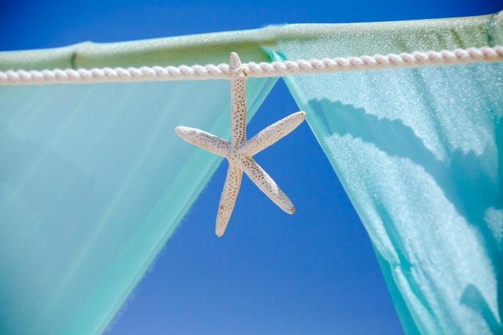 Nautical Knot - Starfish Accent on Wedding Arbor