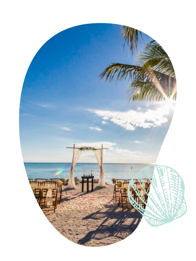 palm tree, ocean, beach wedding