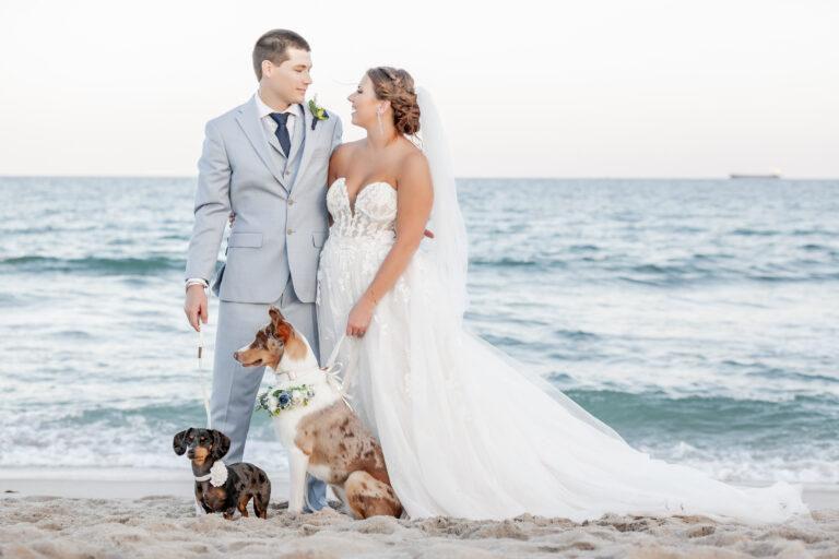 Beautiful Florida dog friendly beach wedding
