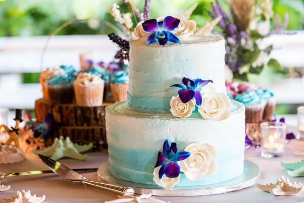 Jupiter-Civic-Center-Reception-Cake